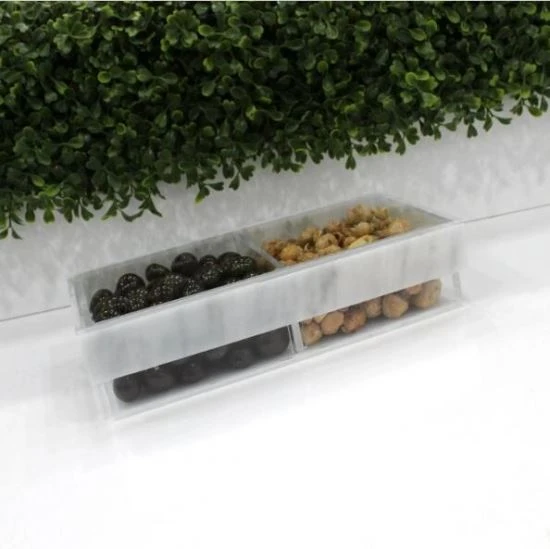 Lucite Divider Sectional Tray