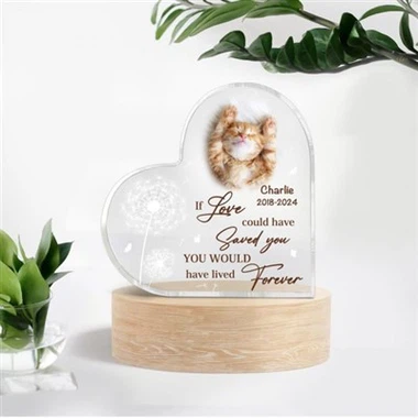Acrylic Photo Plaque